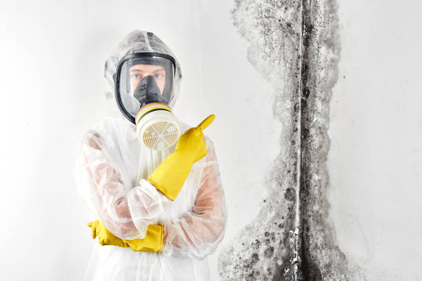 Best Mold Odor Removal Services  in Genola, UT